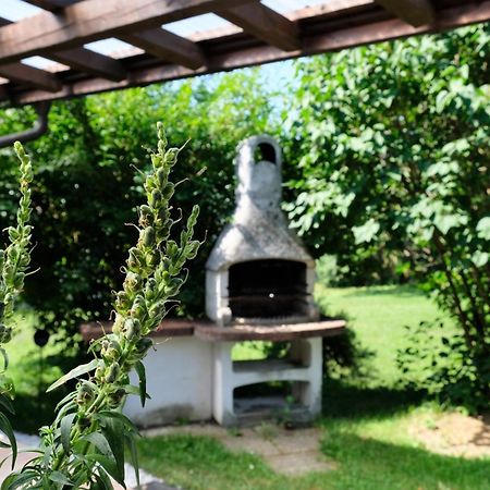 Gaestehaus Reingruber Ried im Traunkreis Buitenkant foto